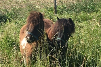 Photo de l'actualité