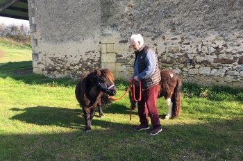 Photo de l'actualité