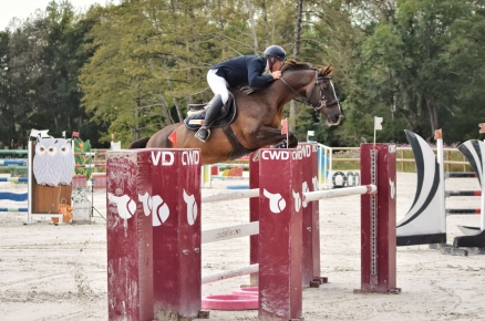 De chouettes résultats chez les amateurs !